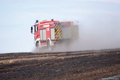 Sachsen / Rabenau: Am 06.07.2025 kam es gegen 11 Uhr in Obernaundorf zu einem Feldbrand. Am Ortsrand standen ca. 35 Hektar Feld in Flammen. Da das Feld noch nicht vollständig abgeerntet war, soll ein Teil des Getreides vernichtet worden sein. Ca. 80 Feuerwehrleute begannen mit der Brandbekämpfung und brachten gemeinsam mit den Landwirten das Feuer unter Kontrolle. Windböen fachten den Brand immer wieder an. Nachdem die offenen Flammen gelöscht waren, mußte der noch immer heiße Boden gründlich abgelöscht werden, um eine Wiederentzündung zu verhindern. Vier Feuerwehrleute mußten wegen Kreislaufproblemen durch den Rettungsdienst behandelt werden. Die Freiwilligen Feuerwehren Rabenau, Freital, Tharandt, Bannewitz, Kreischa und Wilsdruff waren im Einsatz. Da der Einsatz mehrere Stunden andauerte, errichtete das DRK eine Einsatzversorgung für die Einsatzkräfte. Die Polizei ermittelt zur Brandursache.