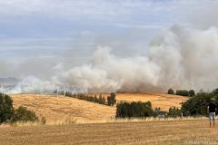 Sachsen / Rabenau: Am 06.07.2025 kam es gegen 11 Uhr in Obernaundorf zu einem Feldbrand. Am Ortsrand standen ca. 35 Hektar Feld in Flammen. Da das Feld noch nicht vollständig abgeerntet war, soll ein Teil des Getreides vernichtet worden sein. Ca. 80 Feuerwehrleute begannen mit der Brandbekämpfung und brachten gemeinsam mit den Landwirten das Feuer unter Kontrolle. Windböen fachten den Brand immer wieder an. Nachdem die offenen Flammen gelöscht waren, mußte der noch immer heiße Boden gründlich abgelöscht werden, um eine Wiederentzündung zu verhindern. Vier Feuerwehrleute mußten wegen Kreislaufproblemen durch den Rettungsdienst behandelt werden. Die Freiwilligen Feuerwehren Rabenau, Freital, Tharandt, Bannewitz, Kreischa und Wilsdruff waren im Einsatz. Da der Einsatz mehrere Stunden andauerte, errichtete das DRK eine Einsatzversorgung für die Einsatzkräfte. Die Polizei ermittelt zur Brandursache.